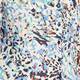 Beige Abstract Animal Print Shirt 