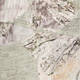 BEIGE LINEN ORCHID PRINT TROUSER GREY